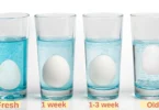 How to Tell If Eggs Are Bad: Simple Tests to Check Freshness