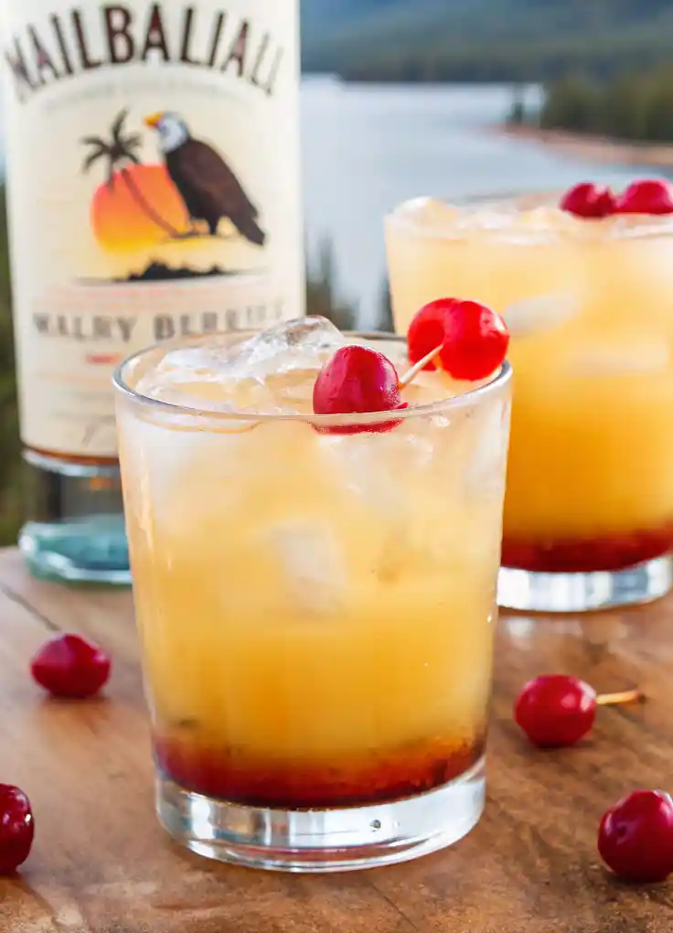 Malibu Rum Recipe: A Tropical Treat Without the Alcohol
