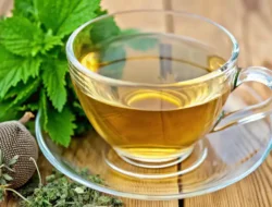 How to Make Lemon Balm Teas Close-up of a glass cup of lemon balm tea with fresh lemon balm leaves on top, set on a wooden table with natural sunlight.