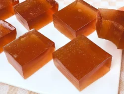 Gelatin Trick Recipe for Weight Loss How It Works
